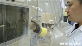 自閉症逐年攀升　統計：人口數增加最快