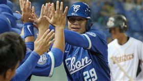 陽冠威3打點（資料照／富邦提供）