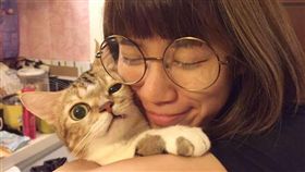 貓,貓奴,養貓,喵星人,寵物,毛小孩（圖／翻攝自肚臍是隻貓臉書）