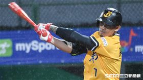 中信兄弟張志豪。（資料照／記者林敬旻攝影）