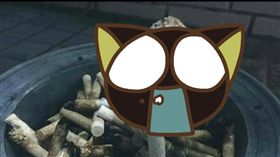 香菇,尼古丁,菸灰缸,抽菸,菸癮,香菸,菸蒂　圖／翻攝自爆料公社https://goo.gl/phFCiZ