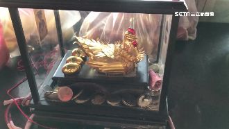 毒犯缺錢偷金雞　被逮辯「神明同意」