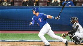 WBC,中華隊,荷蘭隊,經典賽,高國輝 圖／記者林敬旻攝