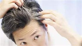 白頭髮、白髮／微博