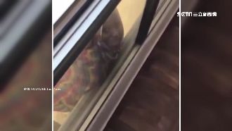 幫傭掛窗外喊救命　女主人竟錄影墜樓