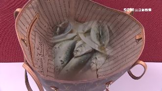 現代24孝？阿嬤拿LV裝魚竟是因…