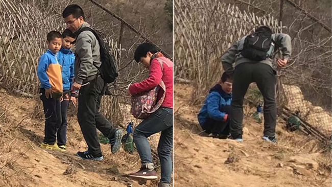 陸客遊動物園活拔孔雀毛　惹怒眾網友