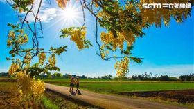 台南花景。（圖／台南市觀傳局提供）