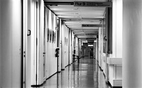 名家/王櫻憓/生活迷