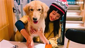 義大利指彩推出國際狗狗日公益活動。（圖／FABY提供）