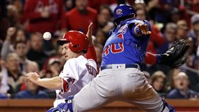 Stephen Piscotty（圖／美聯社／達志影像）