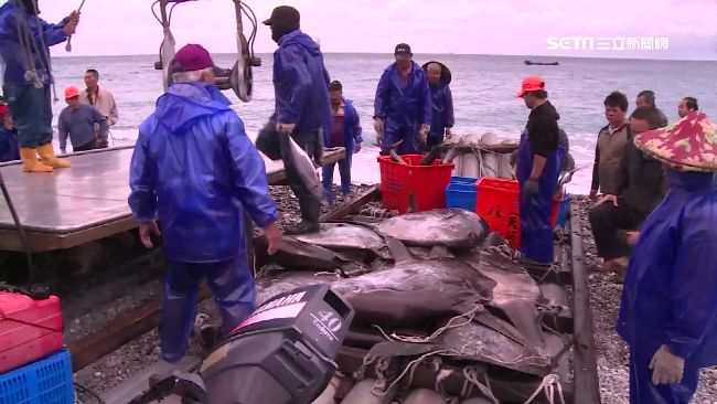 捕魚也能跟上科技　民眾線上預購搶魚