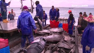 捕魚也能跟上科技　民眾線上預購搶魚