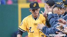 中信兄弟張志豪。（資料照／記者林敬旻攝影）