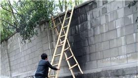 大陸,陝西,秦嶺動物園,動物園,門票,梯子,逃票　圖／翻攝自華商網