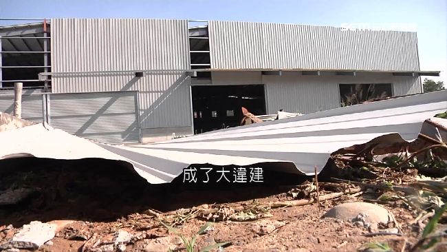 香菇寮變工廠　居民控大違建市府不理