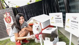 智慧家庭調查大公開　第一名竟是運用網路攝影機偷窺毛小孩