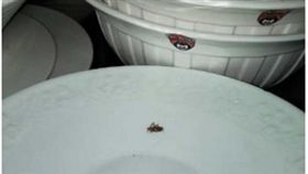 圖取自北京時間網站btime.com