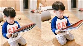 飛飛（合成圖／范瑋琪臉書）