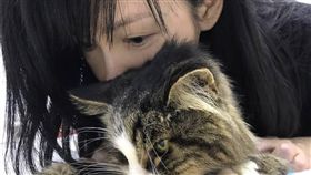 周慧敏向愛貓道別　慟喊「永遠愛你」
圖／翻攝自周慧敏臉書