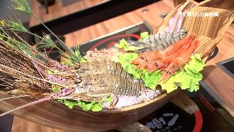 春天蝦膏多2倍！澎湃「龍蝦船」吸客