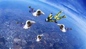 柯文哲跌倒kuso(圖/翻攝自批踢踢)