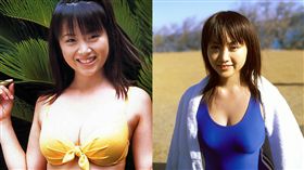 圖翻攝自日網 乃乃果花