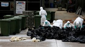 H7N9,中國大陸,西藏
圖／路透社／達志影像