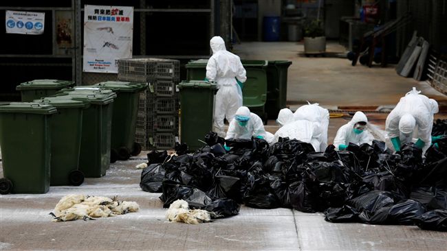 西藏出現首例人感染H7N9病例