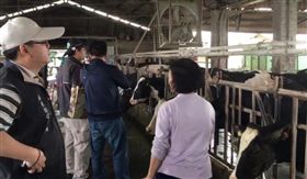 屏東,萬丹,溝渠,屎流河,屎,大便,畜牧,養豬,養牛,廢水,罰款,環保(圖／中央社)