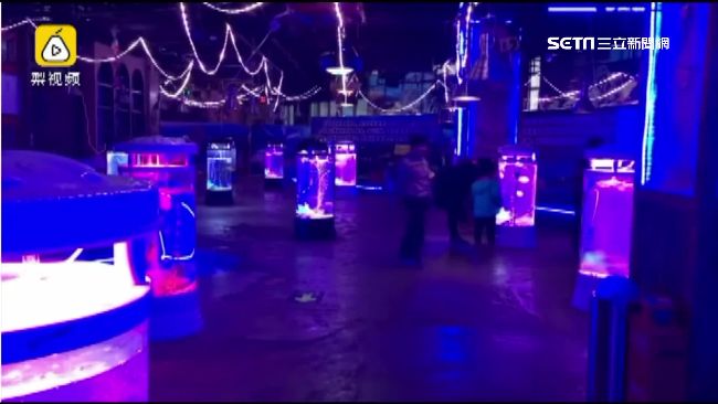海洋館放魚缸！民怨：不如餐廳活海鮮