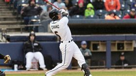 張育成（翻攝自小聯盟官網）