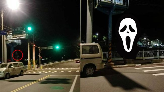 圖／採茶姑娘高站在那　路過正妹嚇壞