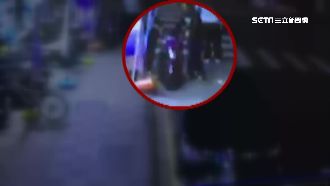 貼背怪男疑有共犯　近兩月5女被騷擾