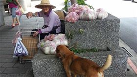 高齡嬤忍腳痛賣菜　拒物資堅持靠自己　圖／翻攝自 我要當流浪動物義工救援團隊 臉書
