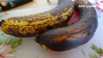 低溫保存NG！香蕉沒熟放冰箱易壞爛