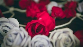 玫瑰花
▲圖／攝影者IanChouTaiwan, flickr CC License
https://goo.gl/nZs2KT