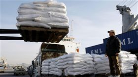 一名韓國農民在2009年1月8日（星期四）在韓國仁川仁川港口的一艘船上看北韓的大米。南韓農民星期四敦促他們的政府恢復對朝鮮的定期糧食援助他們準備把自己的大米運往貧困的鄰國。該貨運星期五計劃在北部的南浦西部港口出發。／（圖／美聯社／達志影像）
