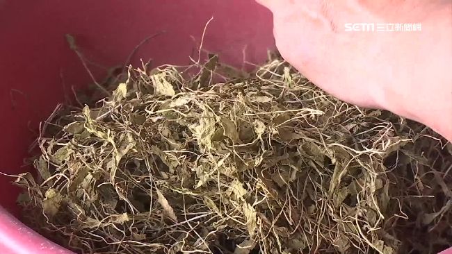 草王現身內湖！1斤4千元民眾搶著要