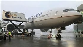 聯合航空,聯航 圖/翻攝自United臉書