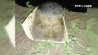 無名頭顱疑死亡久分屍　法醫這樣判斷