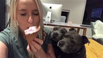 比特犬想吃冰淇淋　使出瞬移大法！