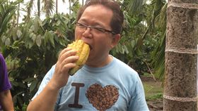 日巧克力大師 驚見屏東有極品可可樹＿屏東是台灣可可種植重鎮，日本巧克力大師土屋公二（左）12日到屏東內埔鄉參觀可可園，在農民吳(南犬)章（右）的園裡驚訝的發現可可豆中的極品克里奧羅（Criollo）（右），屬可可子全白的可可。土屋公二表示 ，屏東可可產業潛力十足。中央社記者郭芷瑄攝　