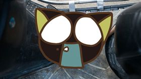  本草綱目,蟲,3釐米,大陸,金華,浦江,雲實蛀蟲,天牛幼蟲,雲實樹,斗米蟲,莖,根,藥材　圖／翻攝自青年網　https://goo.gl/Qlyh9X