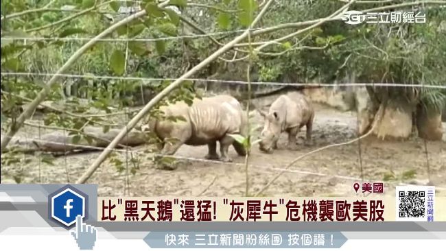 比黑天鵝還猛！灰犀牛危機衝擊歐美股