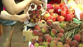 恆春玉荷包量跌9成　首批價格恐破千