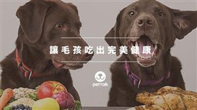 名家專用／PetTalk／讓毛孩吃出完美的健康