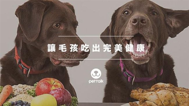 「天然有機全食」讓毛孩吃出完美健康