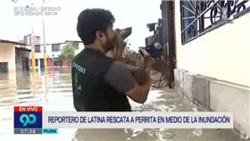 祕魯,洪水,水災,記者,連線,救狗,狗狗,救援,溫馨　圖／翻攝自YouTube