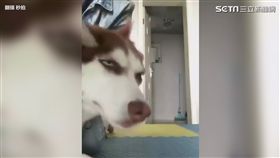 月月翻白眼
（圖／翻攝秒拍）